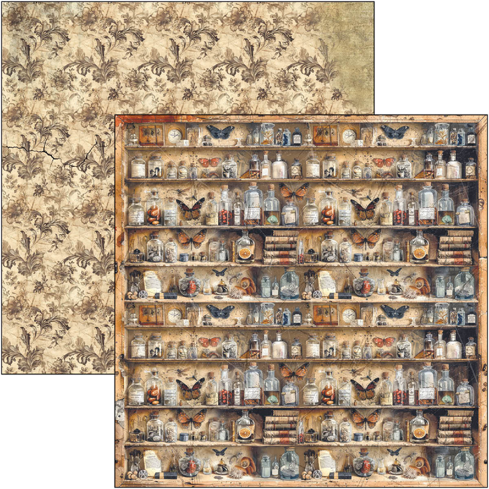 Ciao Bella Cabinet Of Curiosities 12" x 12" Scrapbooking Paper Set