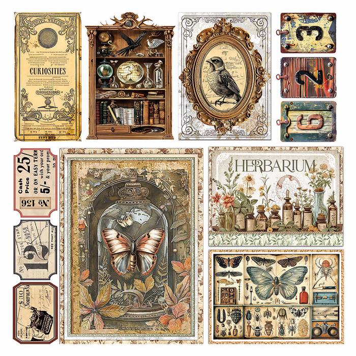 Ciao Bella Cabinet Of Curiosities Vellum Fussy Cut