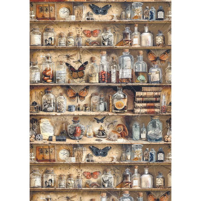 Ciao Bella Cabinet Of Curiosities A5 Mixed Rice Paper 8pc