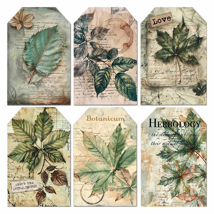 Ciao Bella Cabinet Of Curiosities Vellum Fussy Cut