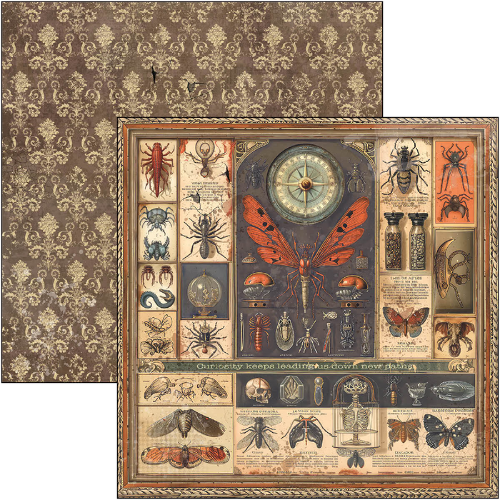 Ciao Bella Cabinet Of Curiosities 12" x 12" Scrapbooking Paper Set