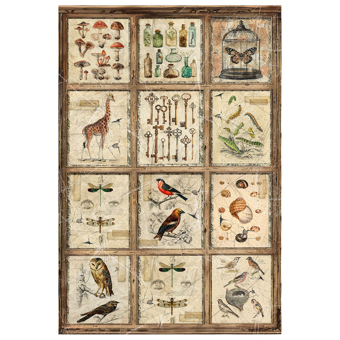 Ciao Bella Cabinet Of Curiosities A4 Mixed Rice Paper 4pc