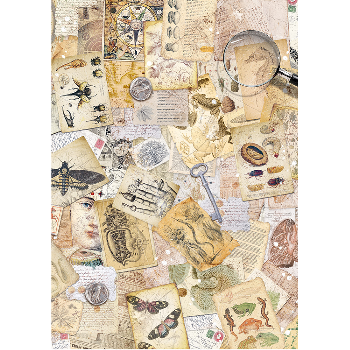 Ciao Bella Cabinet Of Curiosities A5 Mixed Rice Paper 8pc