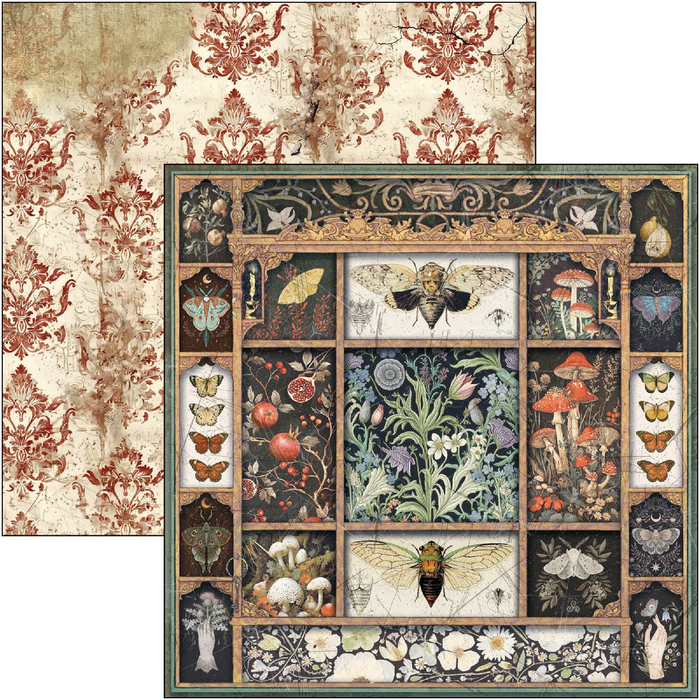 Ciao Bella Cabinet Of Curiosities 12" x 12" Patterns Scrapbooking Paper Set