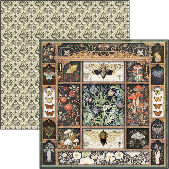 Ciao Bella Cabinet Of Curiosities 8" x 8" Scrapbooking Paper Set