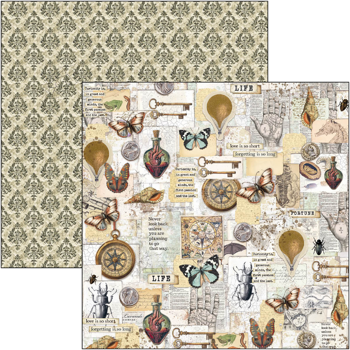 Ciao Bella Cabinet Of Curiosities 12" x 12" Scrapbooking Paper Set
