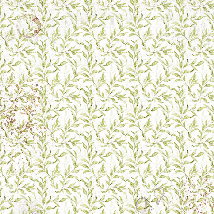 Ciao Bella Cabinet Of Curiosities Vellum Fussy Cut