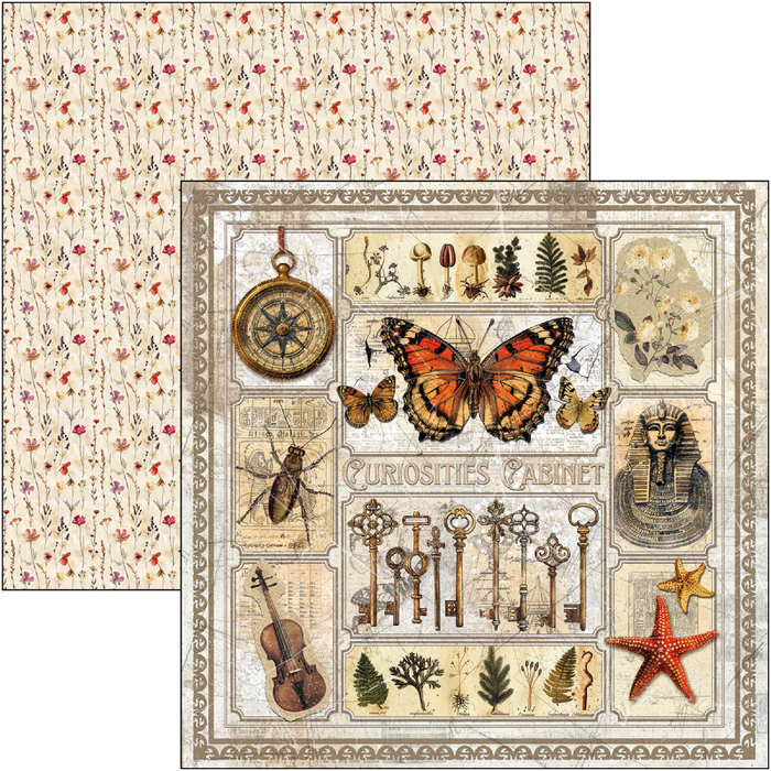 Ciao Bella Cabinet Of Curiosities 8" x 8" Scrapbooking Paper Set