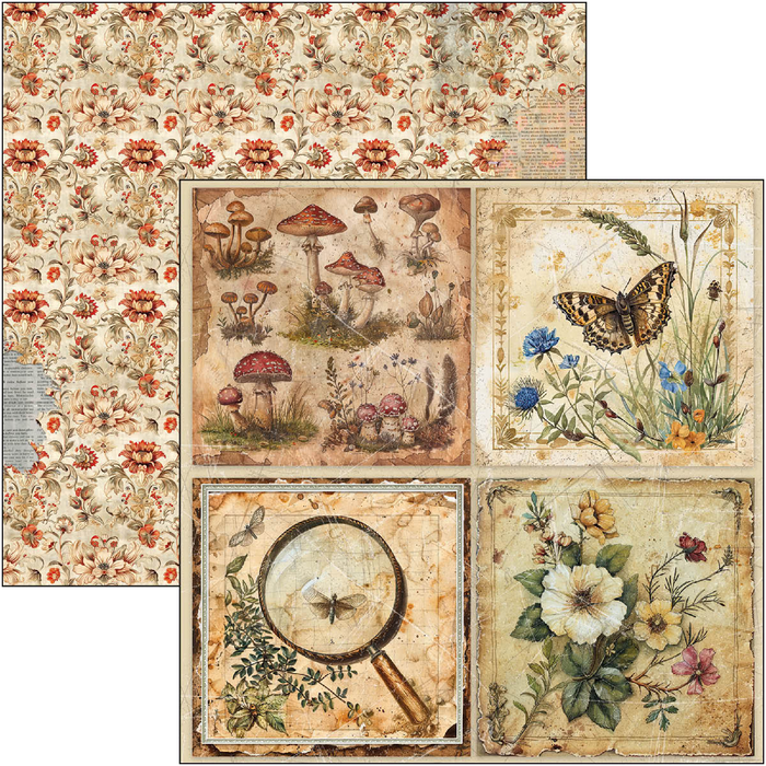 Ciao Bella Cabinet Of Curiosities 12" x 12" Patterns Scrapbooking Paper Set