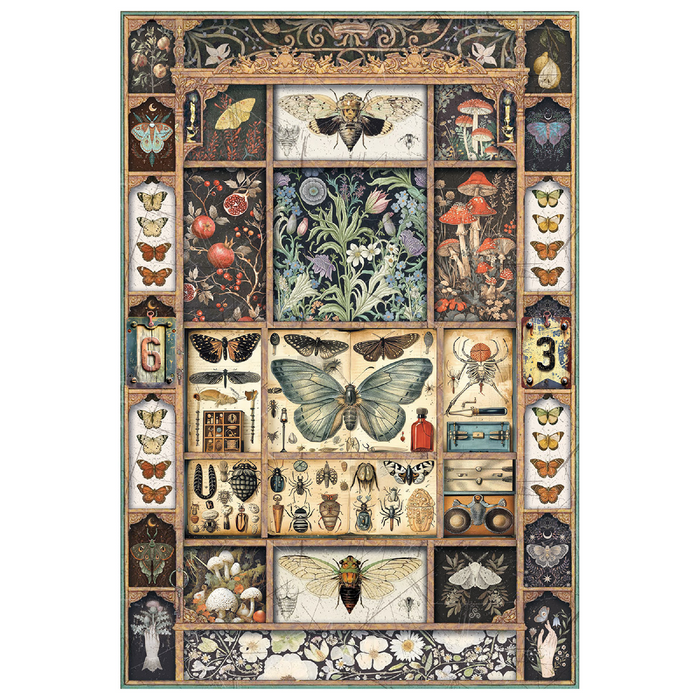 Ciao Bella Cabinet Of Curiosities A4 Mixed Rice Paper 4pc