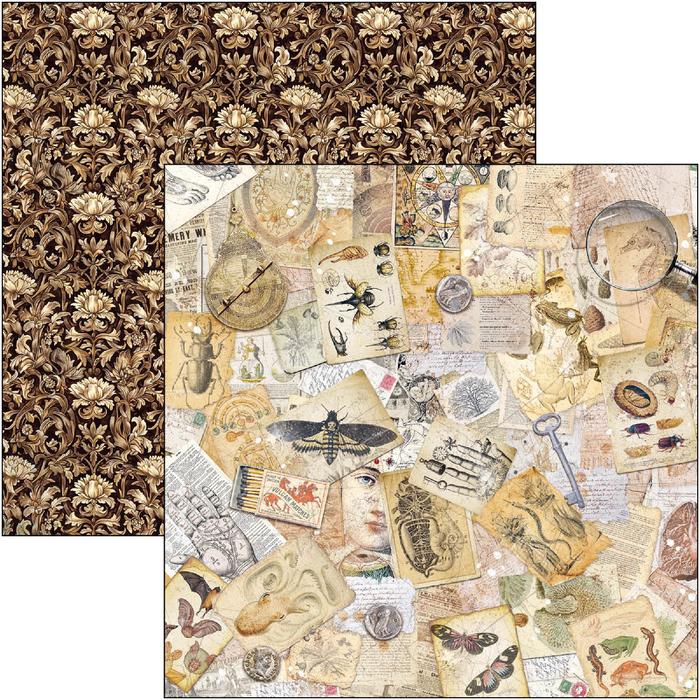 Ciao Bella Cabinet Of Curiosities 12" x 12" Patterns Scrapbooking Paper Set