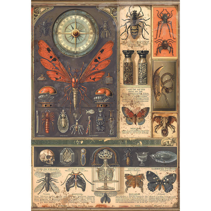 Ciao Bella Cabinet Of Curiosities A5 Mixed Rice Paper 8pc