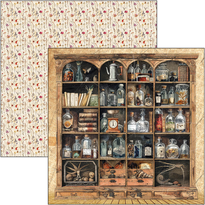 Ciao Bella Cabinet Of Curiosities 12" x 12" Patterns Scrapbooking Paper Set
