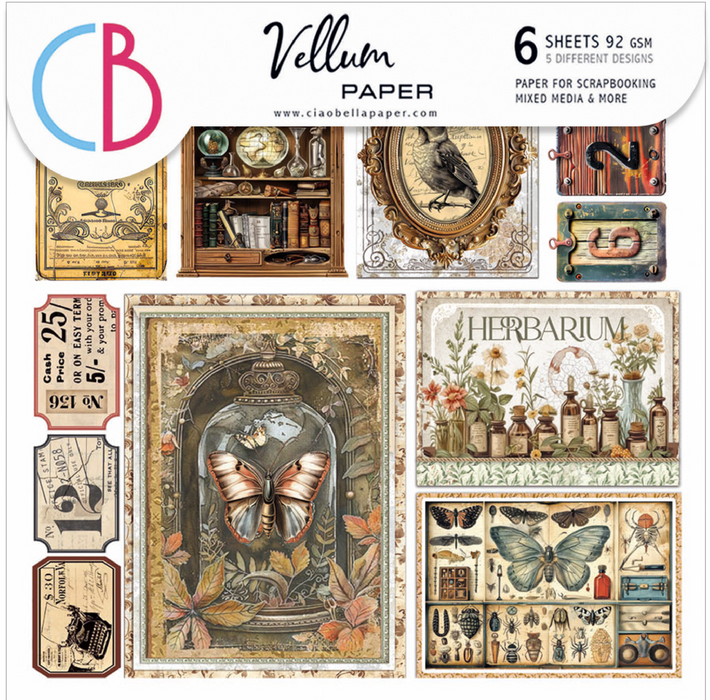 Ciao Bella Cabinet Of Curiosities Vellum Fussy Cut