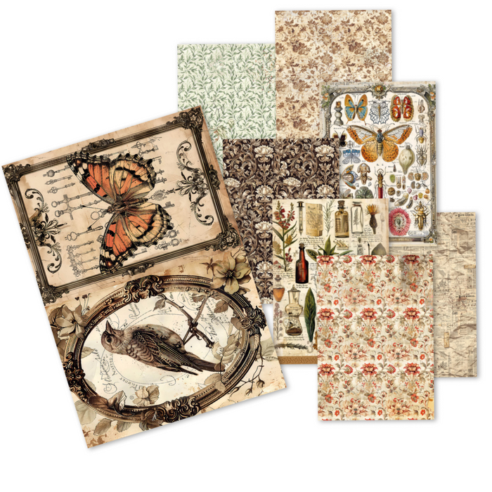 Ciao Bella Cabinet of Curiosities A5 Mixed Rice Paper 8pc