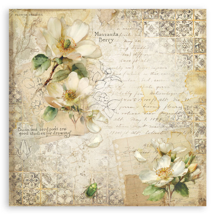 Stamperia All Around 8" x 8" Single Faced Maxi Paper Pad
