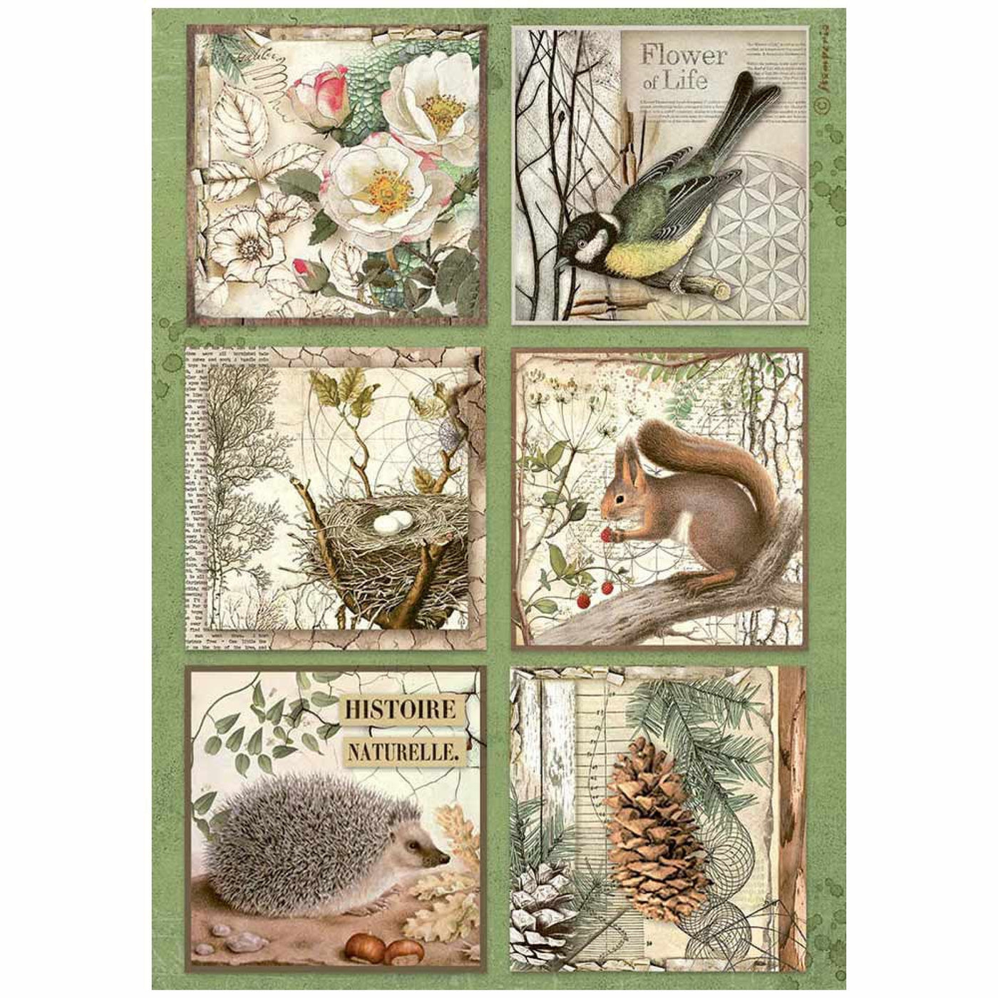 Stamperia Forest A4 Rice Paper Cards — Lena Treasure Box
