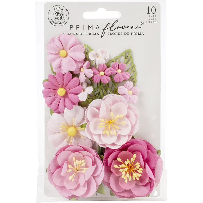 Prima Marketing Surfboard Betty 10pc