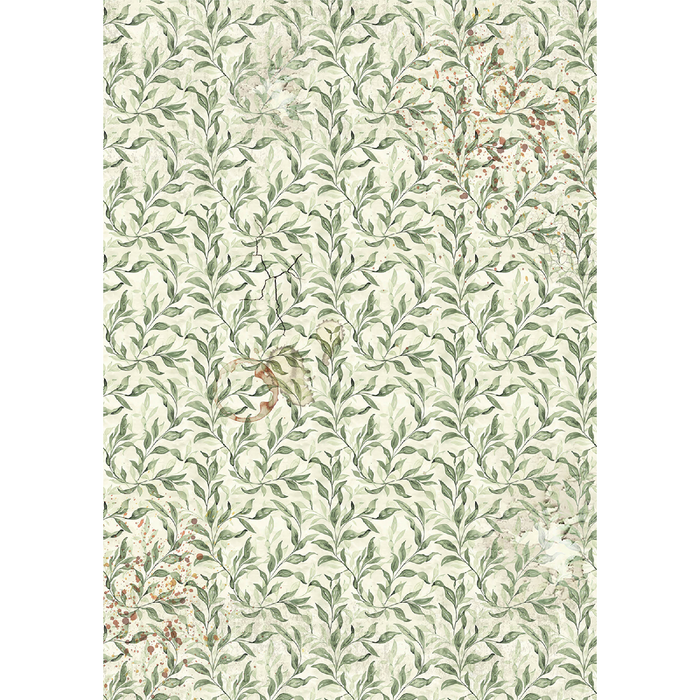 Ciao Bella Cabinet of Curiosities A5 Mixed Rice Paper 8pc