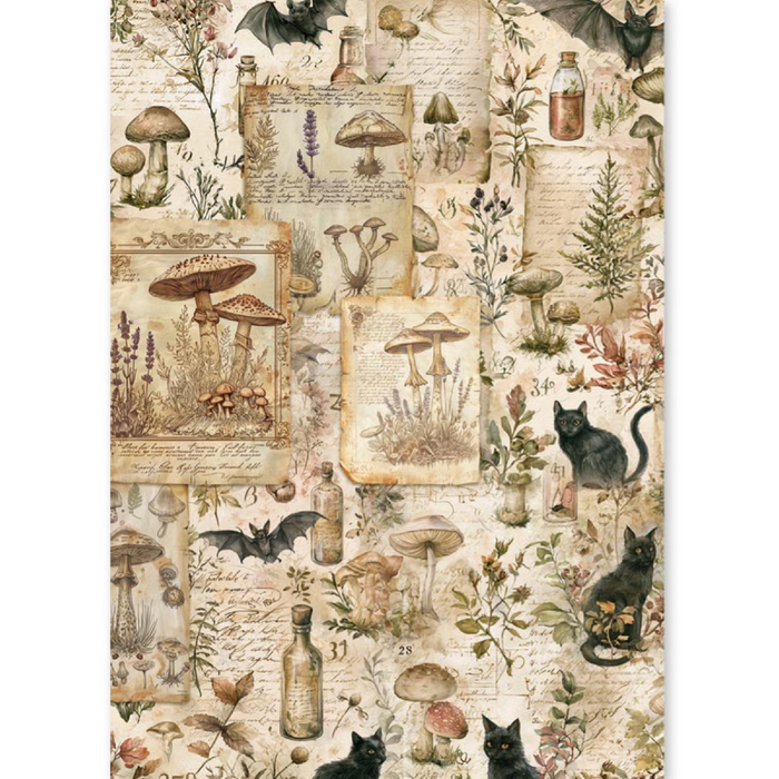Ciao Bella The Witch's Grimoire A5 Mixed Rice Paper 8pc