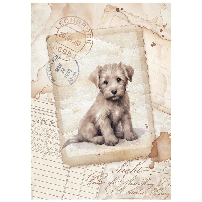 Stamperia Quiet Days A6 Rice Paper Pack