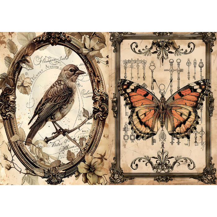 Ciao Bella Cabinet of Curiosities A5 Mixed Rice Paper 8pc