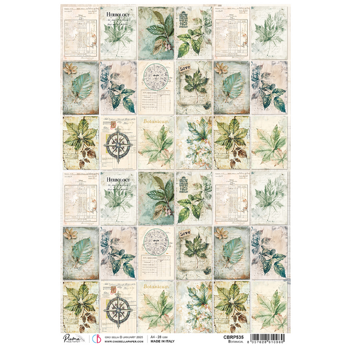 Ciao Bella Cabinet Of Curiosities A4 Rice Paper Botanical