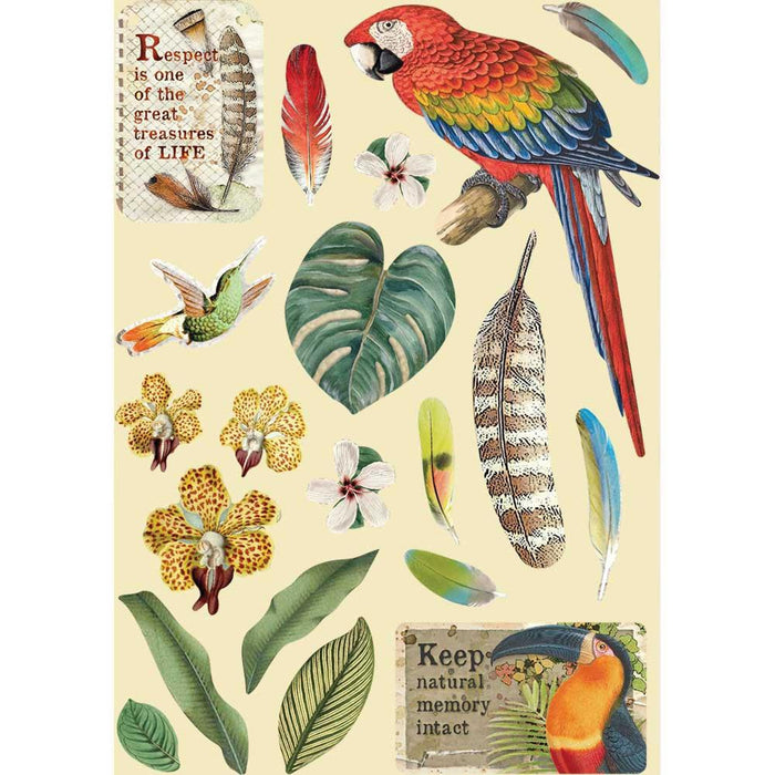 Stamperia Amazonia Colored Wooden Frame A5 Parrot