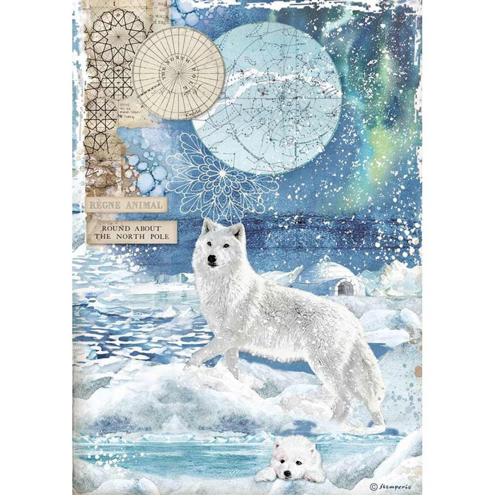 Stamperia A4 Arctic Antarctic Rice Paper Wolf