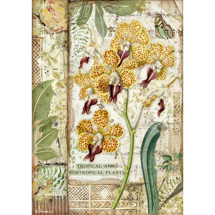 Stamperia Amazonia Rice Paper A4 Orchid